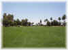 McCormick Ranch #2, Palm Course, Scottsdale - Phoenix Golf Courses
